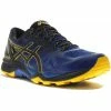 Asics Gel FujiTrabuco 6 Gore-Tex M Chaussures Homme - Avis / Test