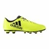 Chaussure Football Adulte ADIDAS X 17.4 FxG FA.17 - Avis / Test
