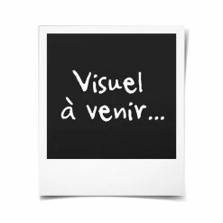 Montre Connectée Bracelet Connecté IPhone Android Smartwatch Cardio 0.95 Pouce Argent - YONIS - Avis / Test