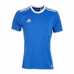 TEE SHIRT Homme ADIDAS TANC TRG TEE - Avis / Test
